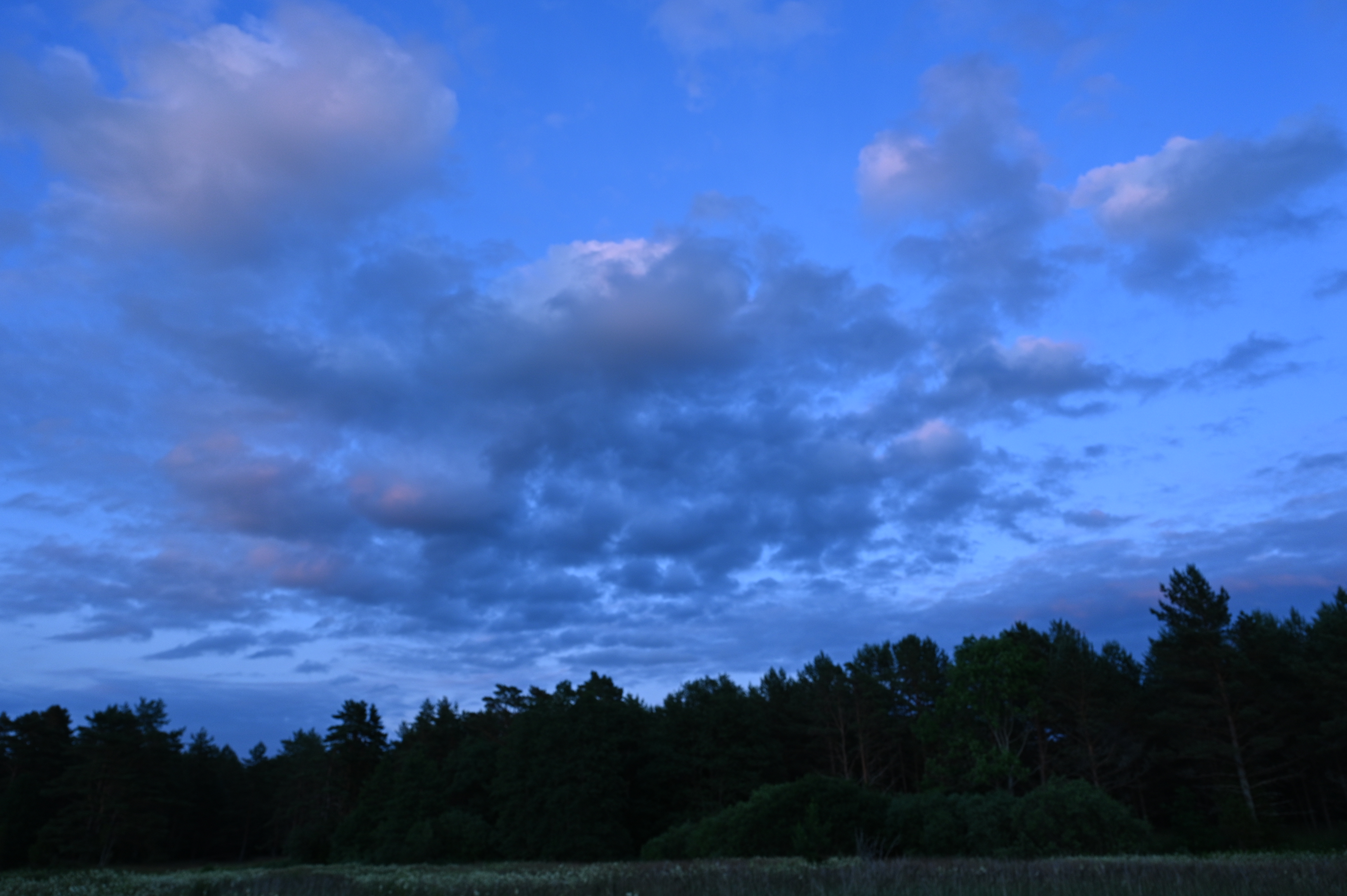 2025/07/09-14 - trip/DSC_0115.JPG